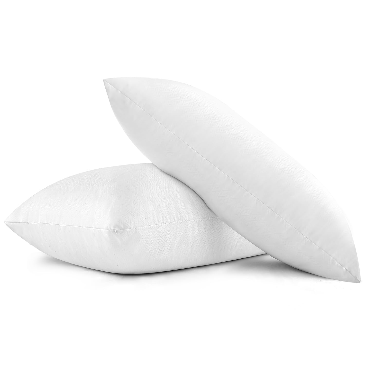 EIUE Bed Pillows for Sleeping 2 Pack Queen Size，Super Soft Down Alternative Microfiber Filled Pillows,Pillows for Side and Back Sleepers,20 x 30 Inches,Blue